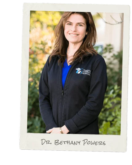 Veterinarians in Ukiah: Dr. Bethany Powers
