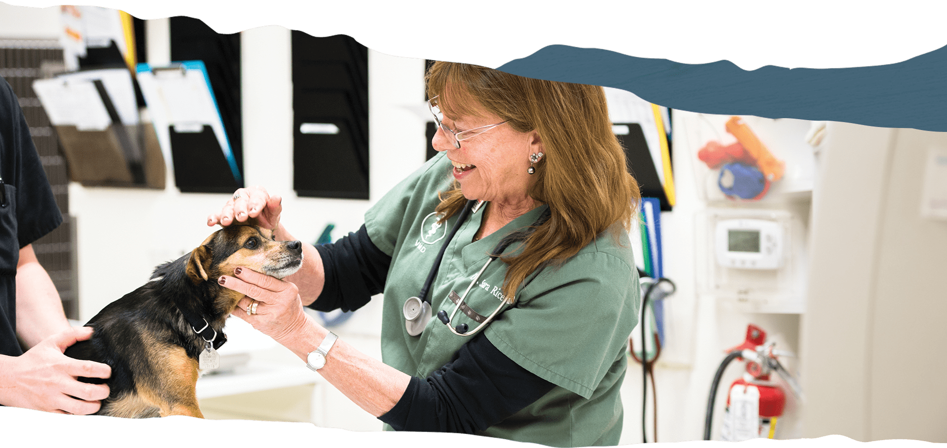doctor-examining-dog2 Animal Hospital in Ukiah: Veterinarian Gives Dog Exam