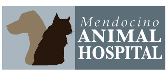 Pet wellness care: Mendocino Animal Hospital Logo: dog, cat and bird