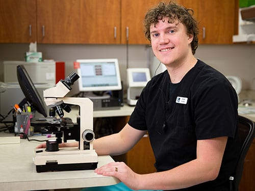 technician-using-a-microscope Veterinary Career Opportunities in Ukiah: Technician With Microscope