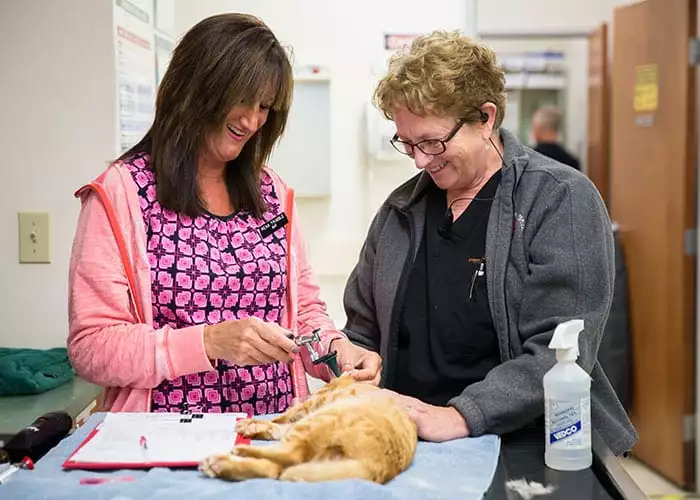 staff-with-cat About Us: Veterinary Staff With Cat