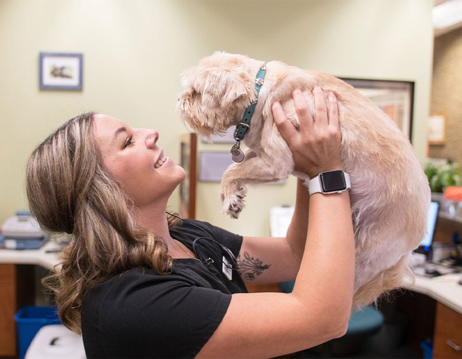 woman-holding-dog-in-the-air Pet Vaccinations in Ukiah: Vet Holding Dog