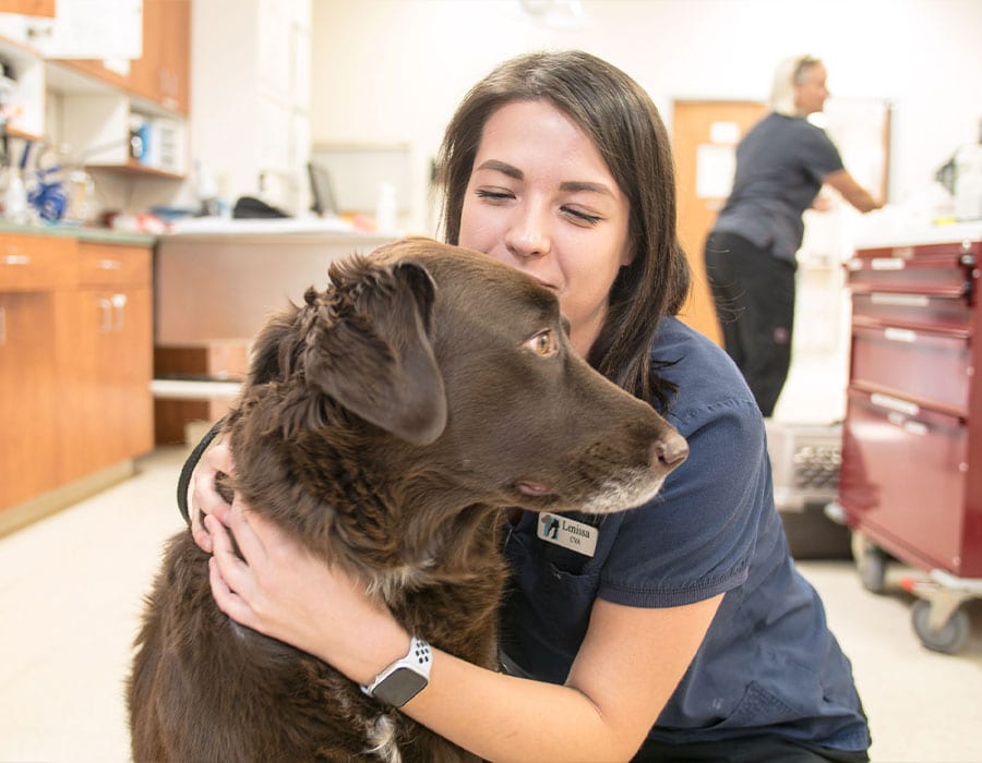 woman-hugging-brown-dog woman-hugging-brown-dog